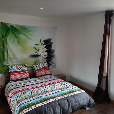 Apartamento T3 Hyper-Centre Au Calme Tout Equipe Parking Prive Castres  Exterior foto