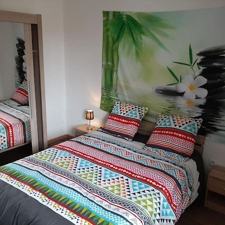 Apartamento T3 Hyper-Centre Au Calme Tout Equipe Parking Prive Castres  Exterior foto